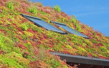 Blairburn living roof systems