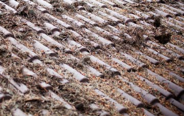 Blairburn roof cleaning companies