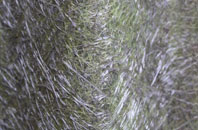 Blairburn fibreglass roof work